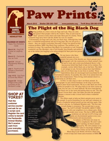 The Plight of the Big Black Dog - Panhandle Animal Shelter