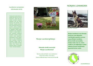 Finsk flyer - Norsk Lundehund Klubb