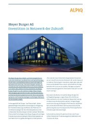 Meyer Burger AG Investition in Netzwerk der Zukunft - Alpiq