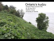 Ontario's kudzu - Invasive Plant Council of BC