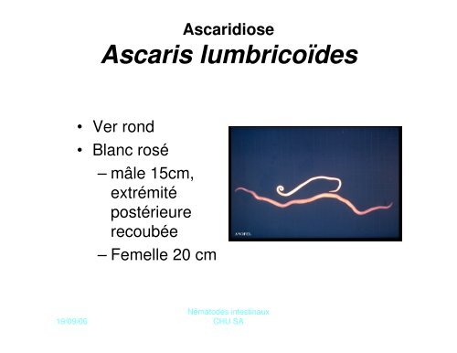 NEMATODES INTESTINAUX 1