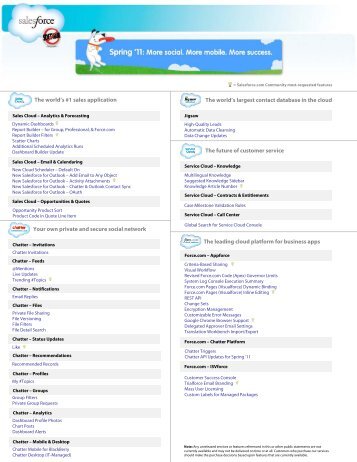 Spring '11 Release Preview - Salesforce.com