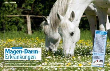 Mein Pferd - Pferdeklinik Burg MÃ¼ggenhausen