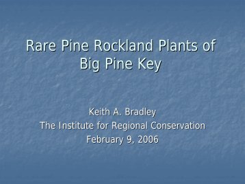 Distribution and population study of rare plants on Big Pine Key ...