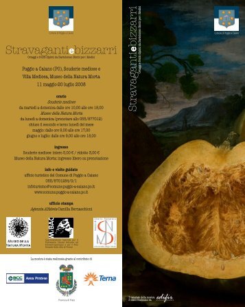 Stravagantiebizzarri - Museo di Storia Naturale - UniversitÃ  degli ...