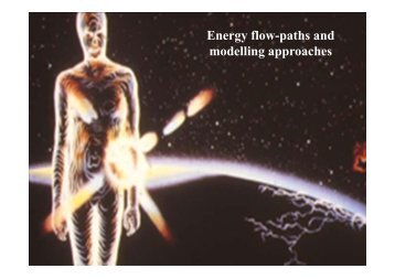 Energy flow-paths and modelling approaches