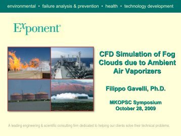 CFD Simulation of Fog Clouds due to Ambient Air Vaporizers