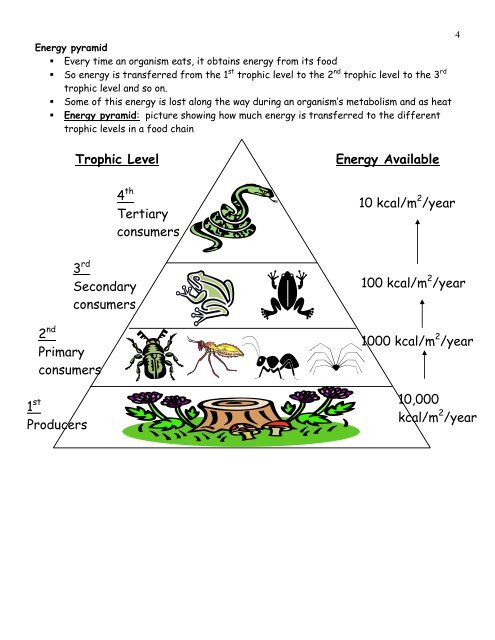 Chapter 2: Principles of Ecology