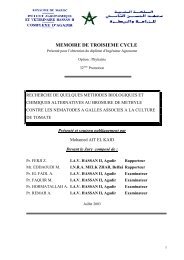 MEMOIRE DE TROISIEME CYCLE - Soil Technologies