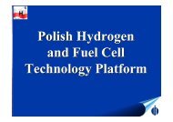 Polish Hydrogen and Fuel Cell Technology Platform ... - HY-CO Home