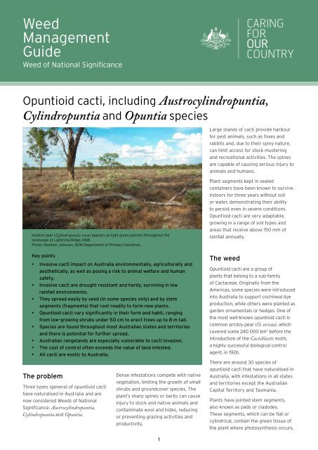 Weed Management Guide - Opuntioid cacti - Weeds Australia