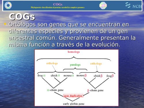 Cluster of orthologous Groups (COGs)