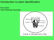 Introduction to plant identification