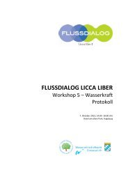 Protokoll des Workshops Wasserkraft als PDF - beim Flussdialog ...