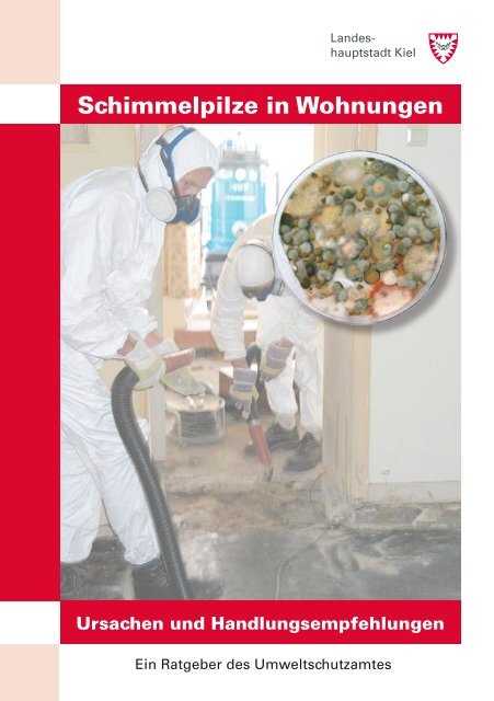 Schimmelpilze in Wohnungen - Gesunde Heizsysteme