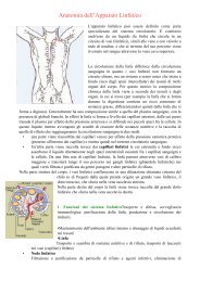 anatomia del sistema linfatico - Istituto Terapie Corporee