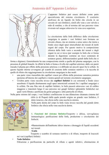 anatomia del sistema linfatico - Istituto Terapie Corporee