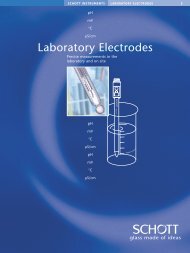 Laboratory Electrodes - Windaus