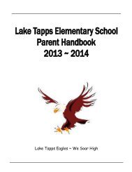 Lake Tapps Eagles ~ We Soar High - the Dieringer School District