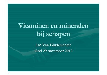 Vitaminen en mineralen bij schapen - Landelijke Gilden