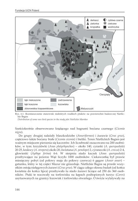 17PTAKI LAK I MOKRADEL POLSKI.pdf