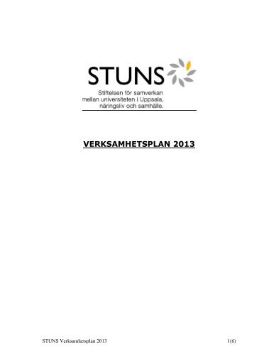 Verksamhetsplan 2013 - Stiftelsen STUNS