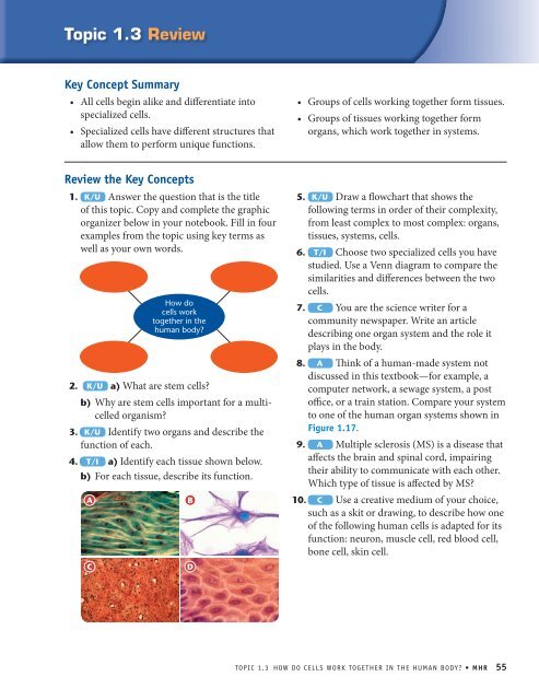 How do cells work together in the human body? - McGraw-Hill ...