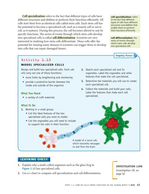 How do cells work together in the human body? - McGraw-Hill ...