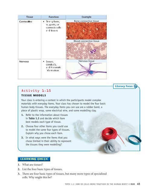 How do cells work together in the human body? - McGraw-Hill ...