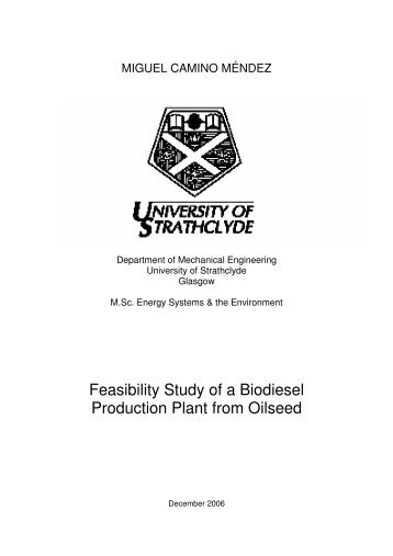 Feasibility Study of a Biodiesel Production Plant from Oilseed