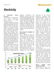 Electricity - Council for Development and Reconstruction