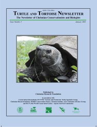 TURTLE AND TORTOISE NEWSLETTER - VET-MAGAZIN.com