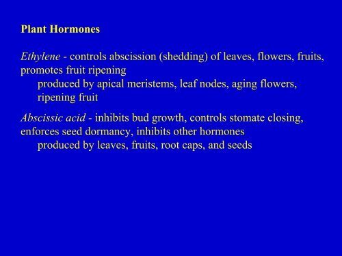 Plant Hormones.pdf