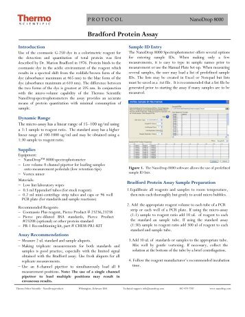 Bradford Protein Assay Protocol for the NanoDrop 8000