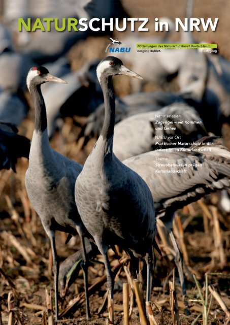 Natur erleben Zugvögel – ein Kommen und Gehen ... - NABU NRW