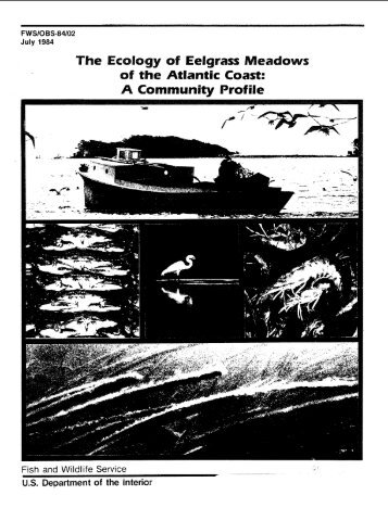 The ecology of eelgrass meadows of the Atlantic coast