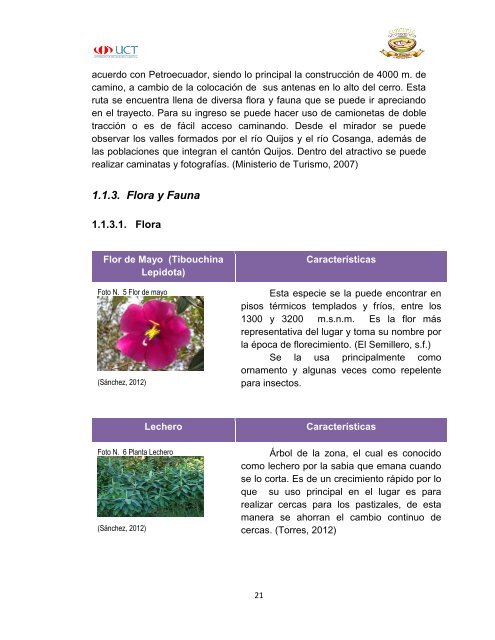 Tesis Final Concurso.pdf - Repositorio Digital UCT - Universidad de ...