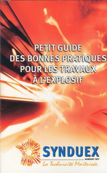 Petit guide des bonnes pratiques (PDF) - Synduex
