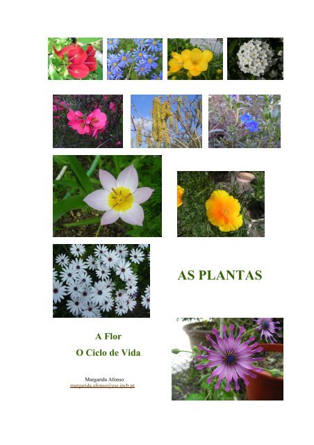 Ciclo de Vida das plantas - CiÃªncia Viva