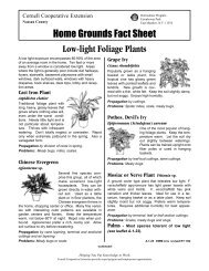 A-1-25 Low Light Foliage Plants - Cornell Cooperative Extension of ...