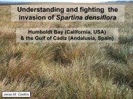 S. densiflora - San Francisco Estuary Invasive Spartina Project