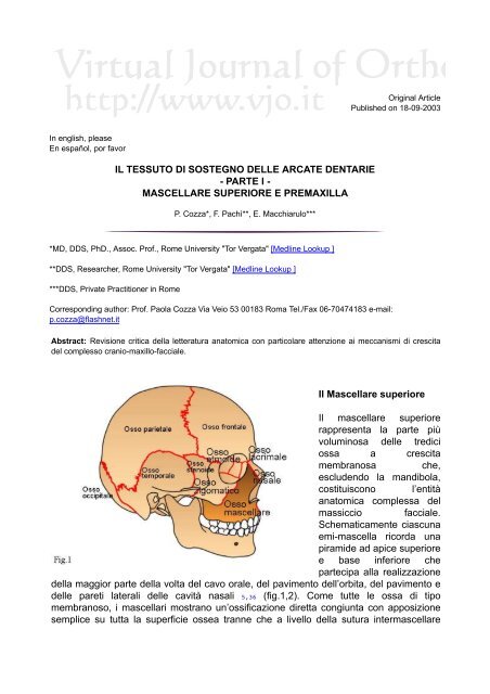 Download Document (1.94 Mb) - Virtual Journal of Orthodontics