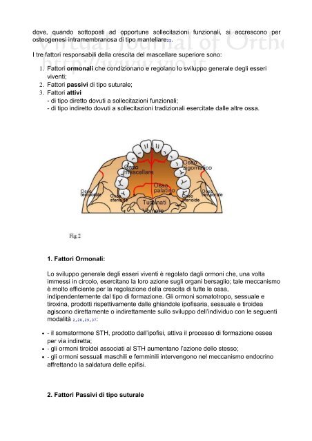 Download Document (1.94 Mb) - Virtual Journal of Orthodontics