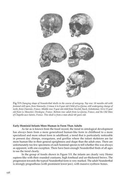 The Spirit in Human Evolution - Waldorf Research Institute