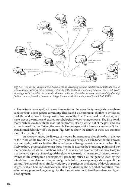 The Spirit in Human Evolution - Waldorf Research Institute