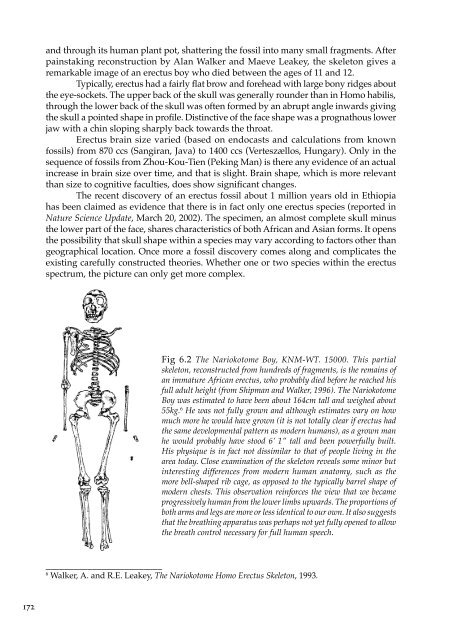 The Spirit in Human Evolution - Waldorf Research Institute