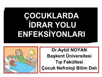 IDRAR YOLU ENFEKSIYONU.pdf