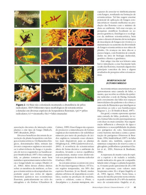 Untitled - Biotecnologia