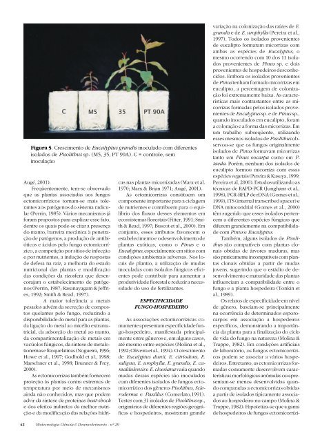 Untitled - Biotecnologia