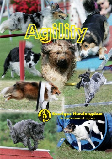 Agility - Sveriges Hundungdom